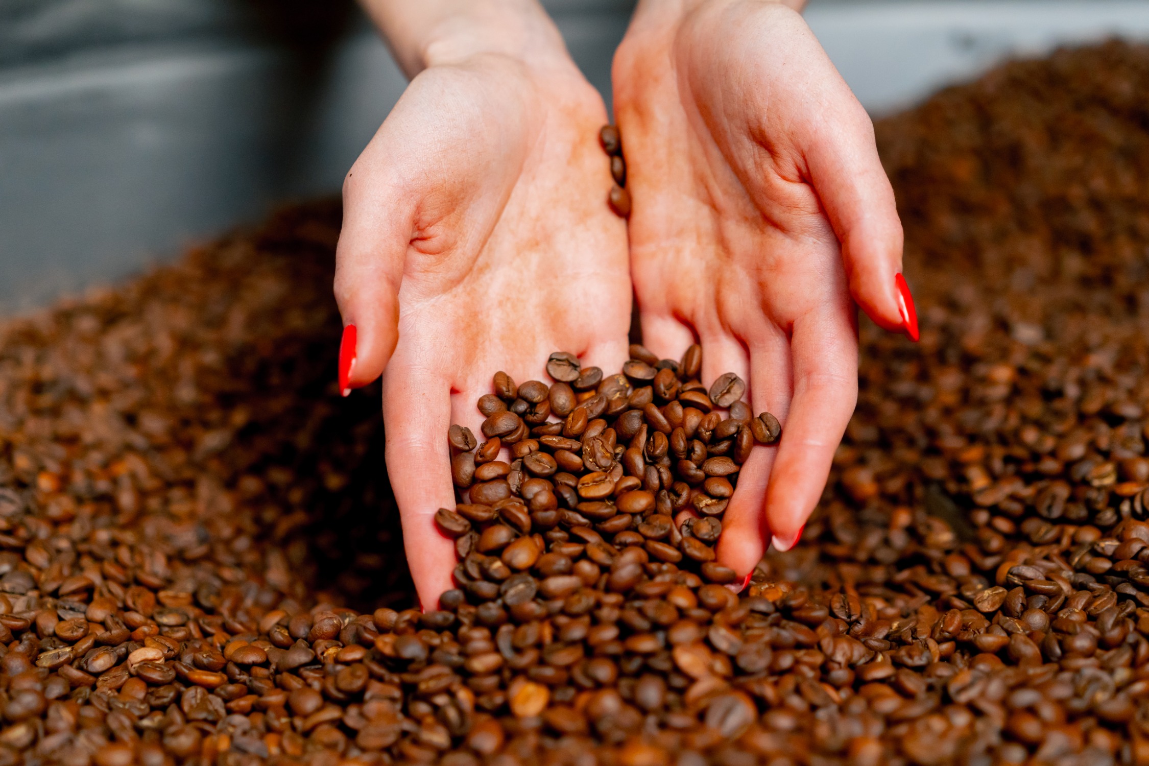 coffee beans Euro Koffie